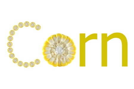 Corn word on white backgroundの写真素材