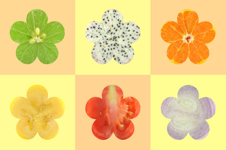 Flower shaped fruit and vegetable backgroundの写真素材