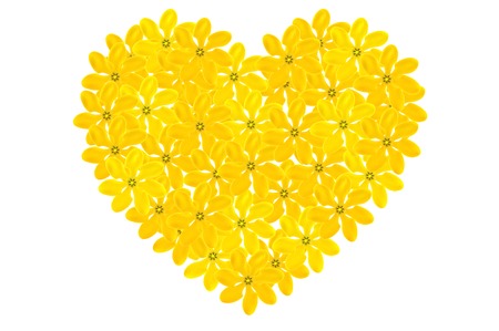 Golden gardenia floral heart shape on white backgroundの写真素材