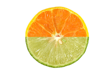 Half of orange and lime on white backgroundの写真素材
