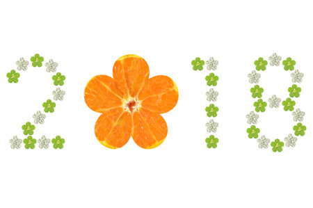 Year 2018 symbol from flower shaped fruit on white backgroundの写真素材