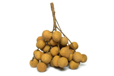 Longan, Dimocarpus longan, Thailandの写真素材