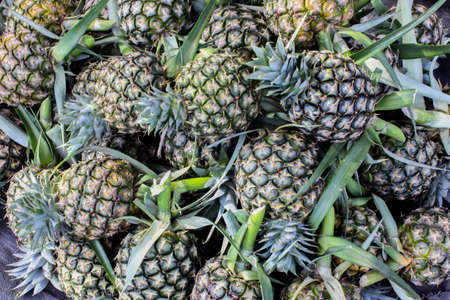 Honey Pineapples の写真素材