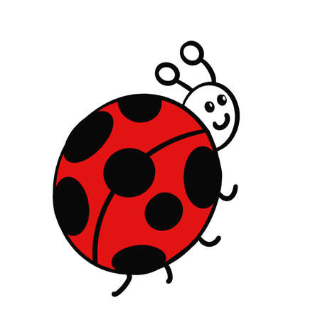 black red beetle that is looking upの写真素材