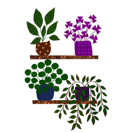 Various ornamental plants placed on a wooden shelfの写真素材