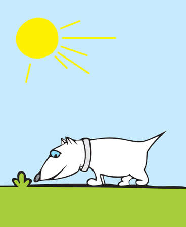 the white dog searches for something under a bushのイラスト素材