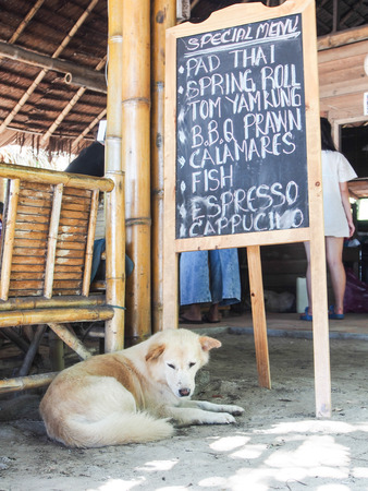 Special menu at beachfront restaurentの写真素材