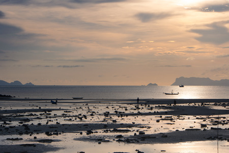 Sunset at the seasideの写真素材