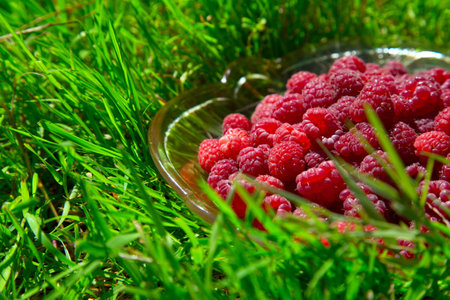 ripe raspberry in a glass dish on a green grass