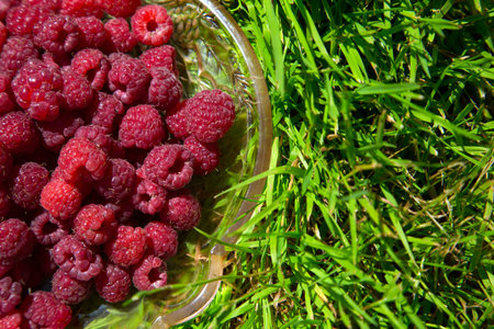 ripe raspberry in a glass dish on a green grass