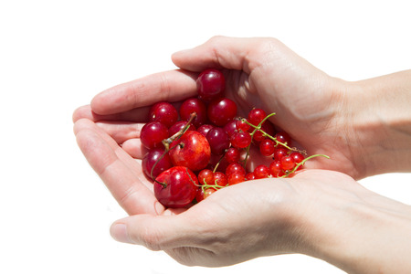 girl holding a currant and cherry on a white backgroundの写真素材