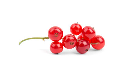 Bunch of red currants on a white backgroundの写真素材