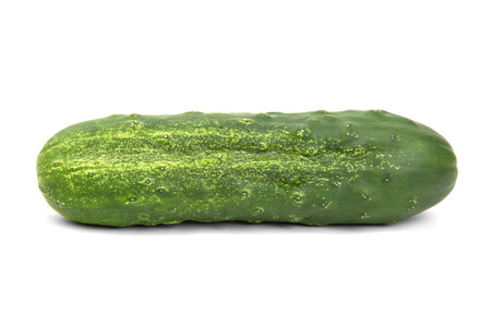 green cucumber on white backgroundの写真素材