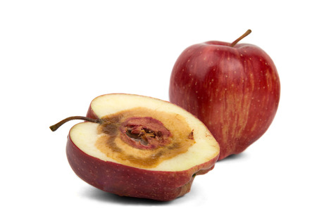 rotten sliced red apple on a white backgroundの写真素材