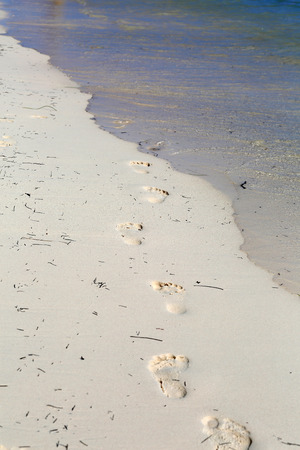 footprints in the tropical beach sand の写真素材