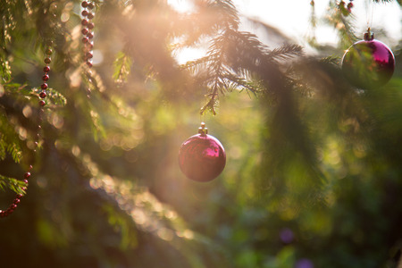Christmas decorations at sunsetの写真素材