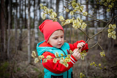 Spring, a little girl holding a branch with swollen buds in her hand.