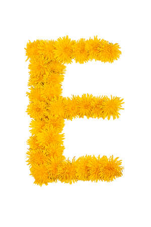 The English alphabet of dandelion flowers is isolated on a white background. Letter Eの写真素材