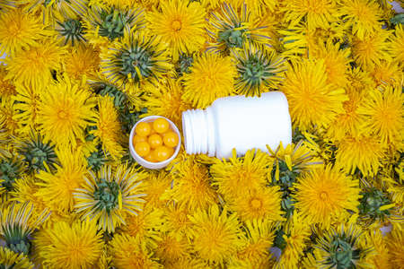 Vitamins in dandelions. A bottle with yellow pills in dandelion flowers, close-upの写真素材