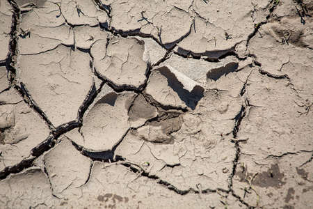 Drying cracked soilの写真素材