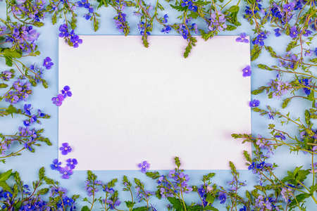 A white sheet on a blue background in a frame of blue wildflowers. Mock-upの写真素材