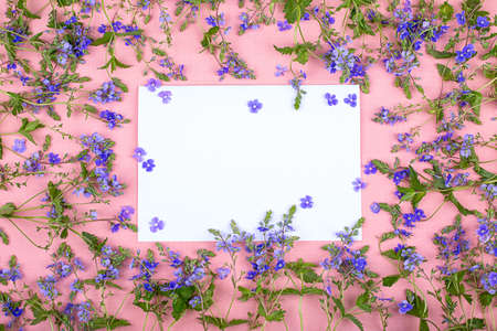 A white leaf on a pink background in a frame of blue wildflowers. Mock-upの写真素材