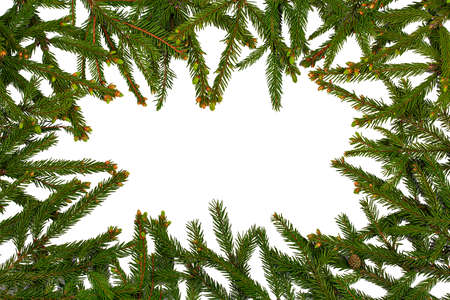 Christmas frame made of fir branches. copy spaceの写真素材