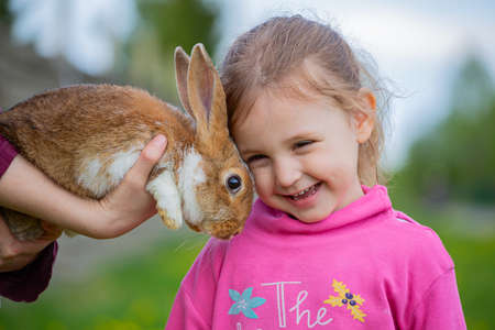A little girl and a red rabbitの写真素材