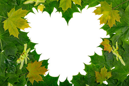 A heart-shaped frame made of multicolored maple leaves. copy spaceの写真素材