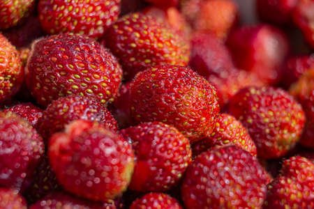 strawberry background. strawberry berriesの写真素材