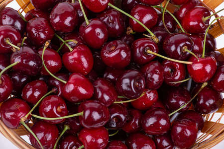 Background of ripe cherries in drops of waterの写真素材