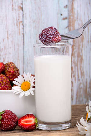 Ripe strawberries on a fork in milk, a plate with strawberries on a wooden background, close-upの写真素材