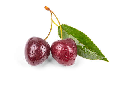 Ripe cherry in drops of water, isolated on a white background, macro photographyの写真素材