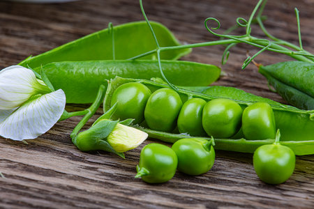 an open pod of green peas on a dark wooden background, macro photographyの写真素材