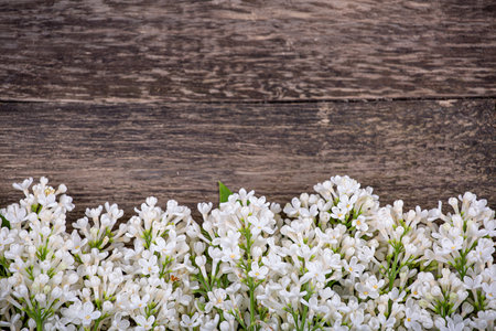 White lilac flowers on an old wooden background, copy spaceの写真素材