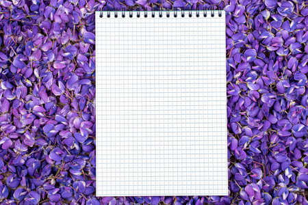white sheet of paper in purple lupin colors, copy spaceの写真素材