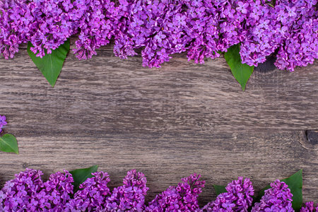 Frame of purple lilac flowers on an old wooden background, copy spaceの写真素材