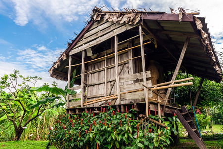 wooden cottage in small abandoned villageの写真素材