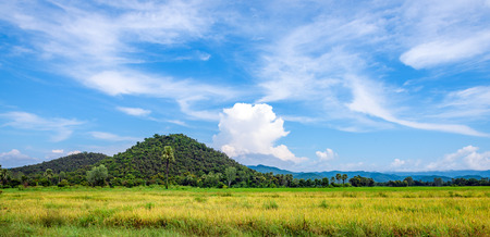 field of spring grass and mountainの写真素材