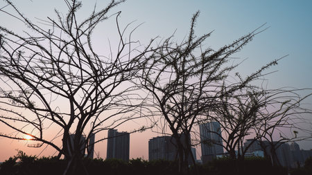 Cityscape with mixture of nature and buildingsの写真素材