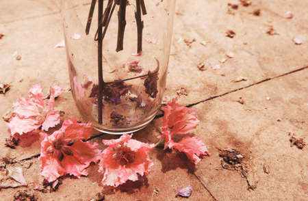Bottom of the glass bottle with branches and flowersの写真素材