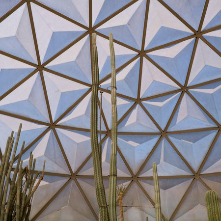 Cactuses and cacti in the interior of a modern buildingの写真素材