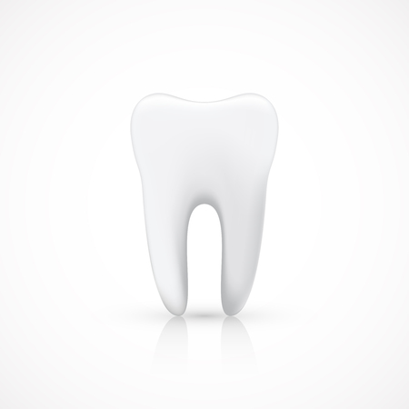 Healthy Tooth Isolated on White, vector illustrationのイラスト素材
