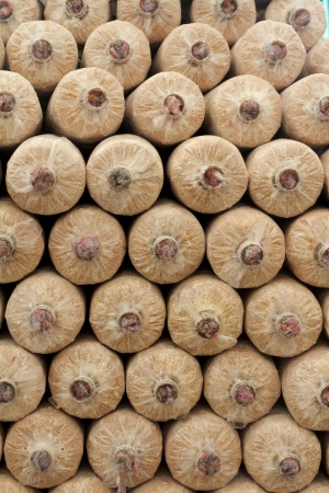 The sawdust cap as mushroom farm の写真素材