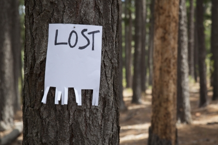 empty lost signの写真素材