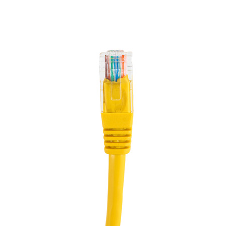 Network cable with RJ45 isolate on white background.