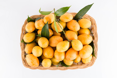 sweet Marian plum thai fruit on white background (Mayongchid Maprang Marian Plum and Plum Mango,Thailand)の写真素材