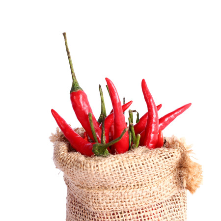 Red chili peppers in a sack bag on white background.の写真素材