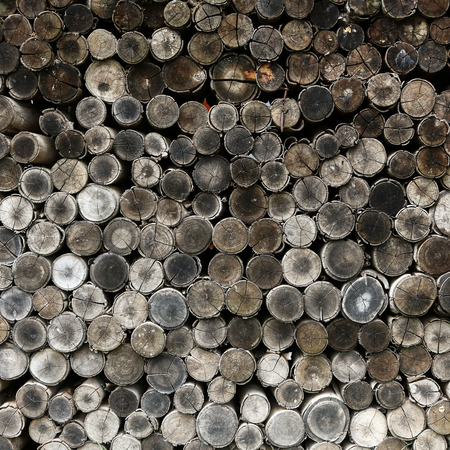 stacked timber logs as background.の写真素材