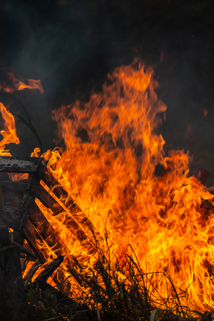 Burning down fire. Last embers and ashes.の写真素材